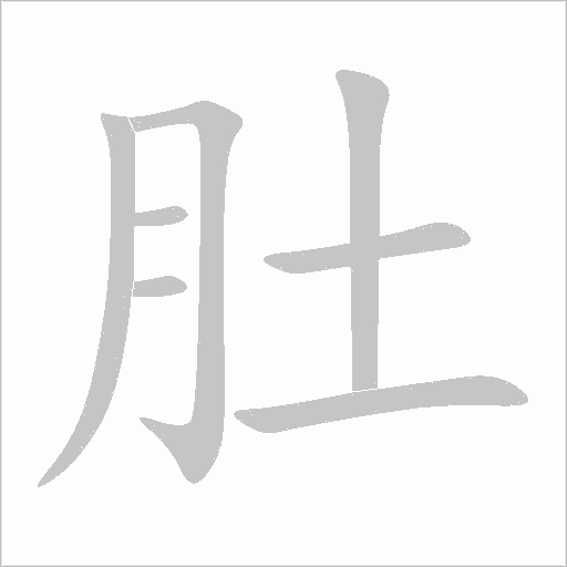 肚字动态笔顺演示