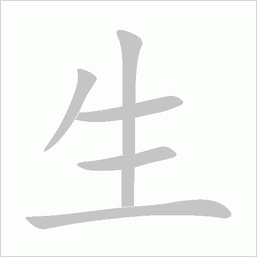 生字动态笔顺演示