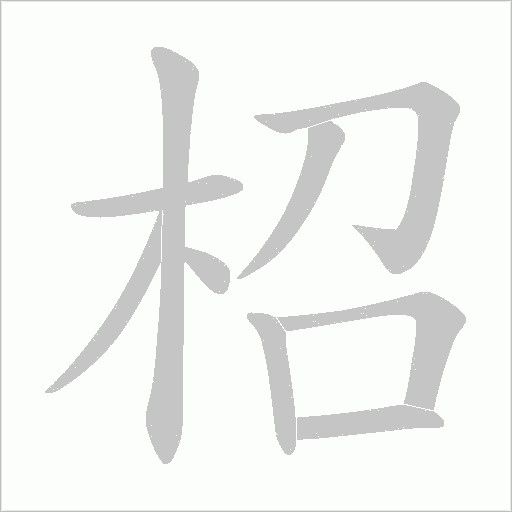柖字动态笔顺演示