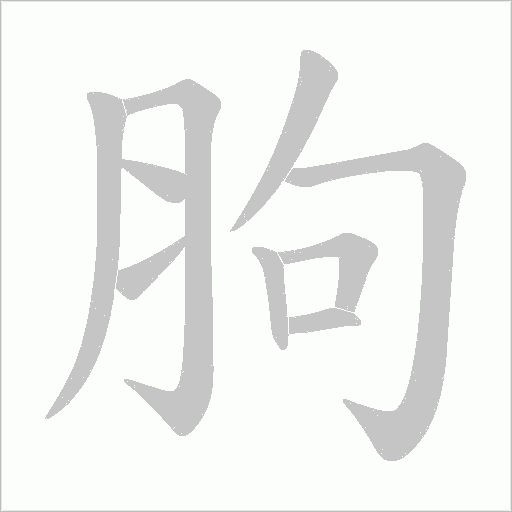胊字动态笔顺演示