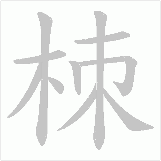 栜字动态笔顺演示