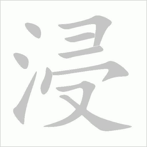 浸字动态笔顺演示