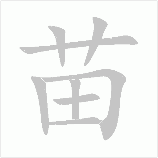 苗字动态笔顺演示