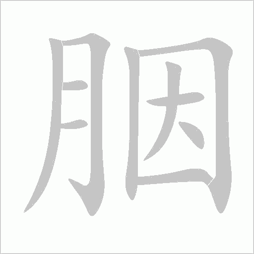 胭字动态笔顺演示