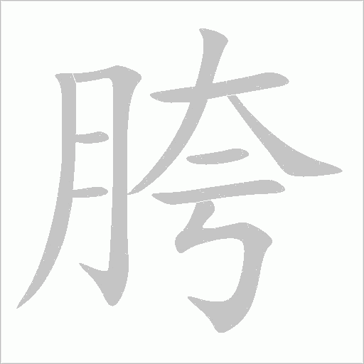 胯字动态笔顺演示