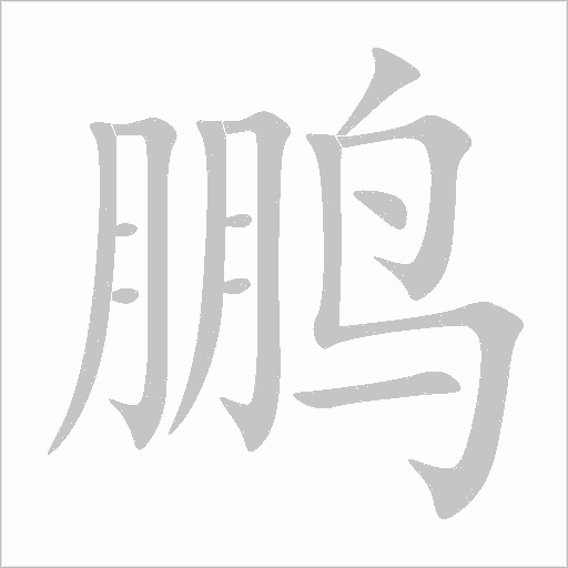 鹏字动态笔顺演示