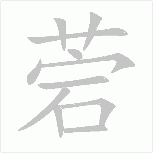 菪字动态笔顺演示