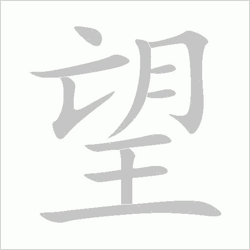 望字动态笔顺演示