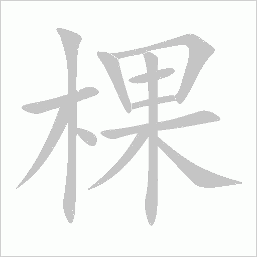 棵字动态笔顺演示