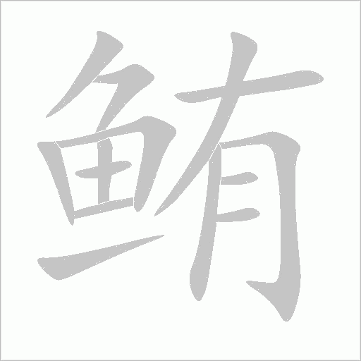 鲔字动态笔顺演示
