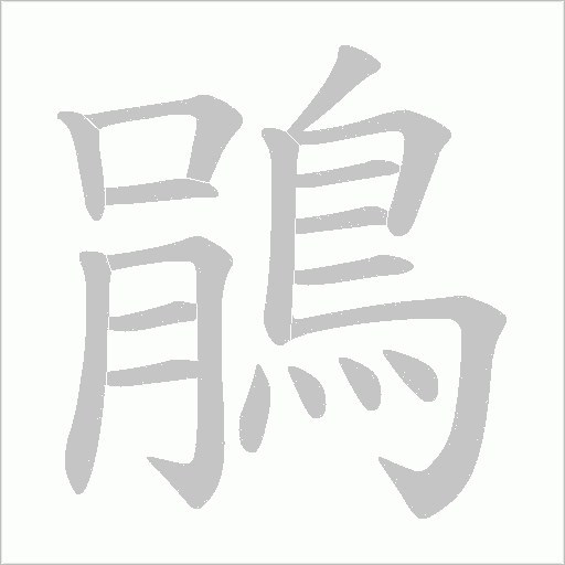 鵑字动态笔顺演示
