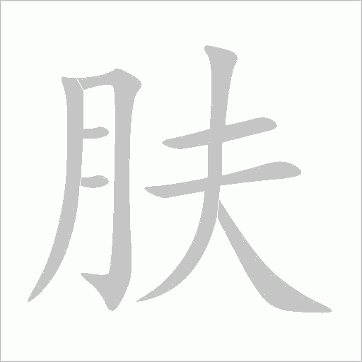 肤字动态笔顺演示