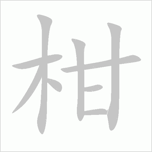 柑字动态笔顺演示