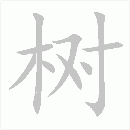 树字动态笔顺演示