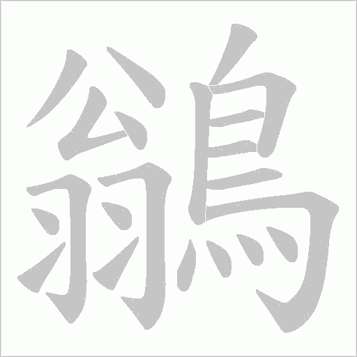 鶲字动态笔顺演示