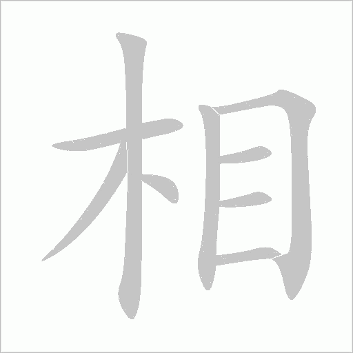 相字动态笔顺演示