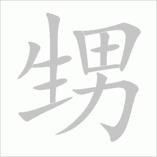 甥字动态笔顺演示