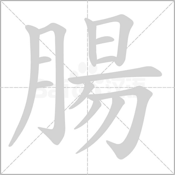 腸字动态笔顺演示