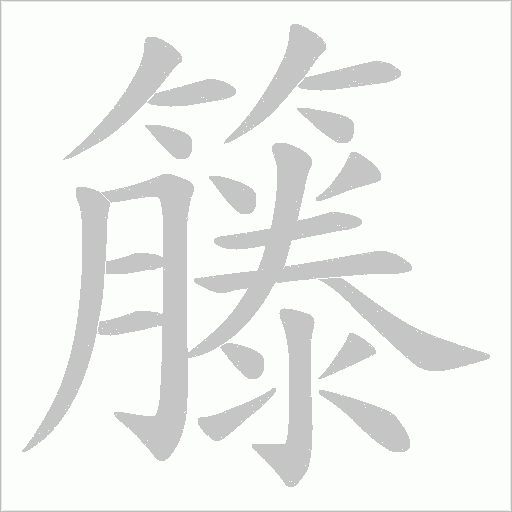 籐字动态笔顺演示