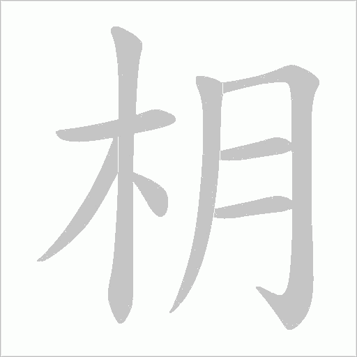 枂字动态笔顺演示