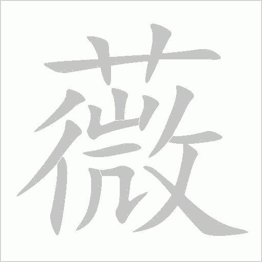 薇字动态笔顺演示
