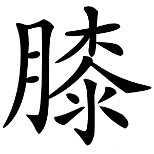 膝字字形图片