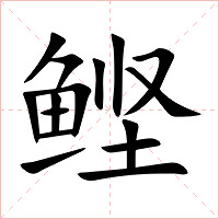 鲣字字形图片