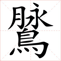 䳮字字形图片