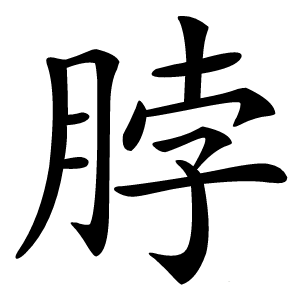 脖字字形图片
