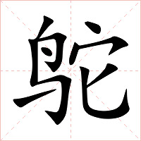 鸵字字形图片