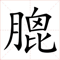 膍字字形图片