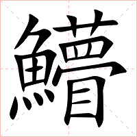䲛字字形
