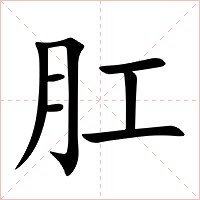 肛字字形图片