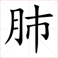 肺字字形图片