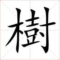 樹字字形图片