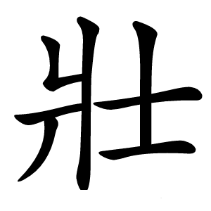 壯字字形图片