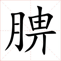 腗字字形图片