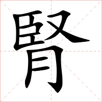 腎字字形图片