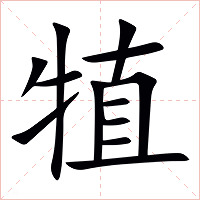 犆字字形图片