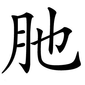 肔字字形