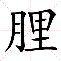 䤚字字形图片