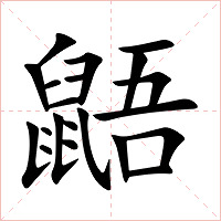 鼯字字形