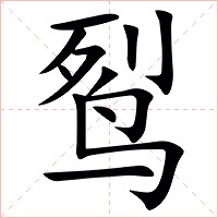 䴕字字形图片