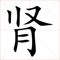 肾字字形图片