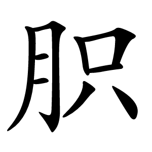胑字字形图片