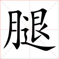 腿字字形图片