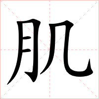肌字字形图片