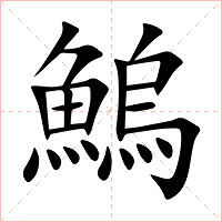 鰞字字形图片