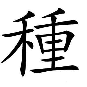 種字字形图片