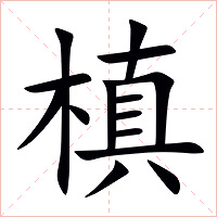 槙字字形图片